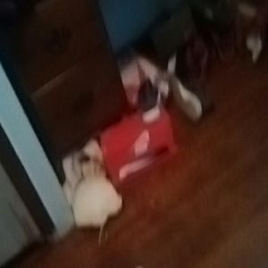 Meet your Posher, Dwayne