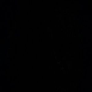 Meet your Posher, Luis