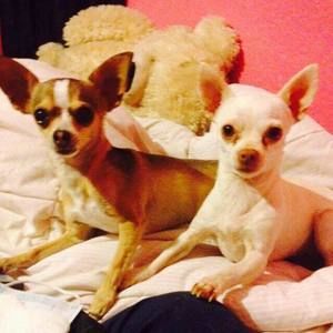 Meet your Posher, Joanne