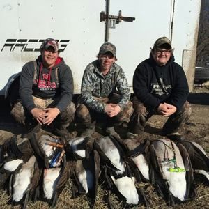 Meet your Posher, Denton