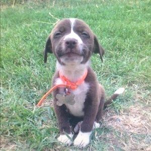 Meet your Posher, Brittney