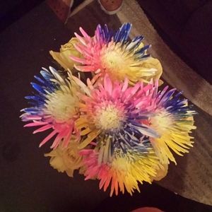 Meet your Posher, Cassiopeia