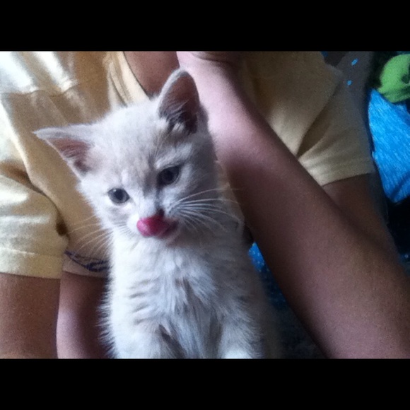 Meet your Posher, Taylor - Picture 1 of 1