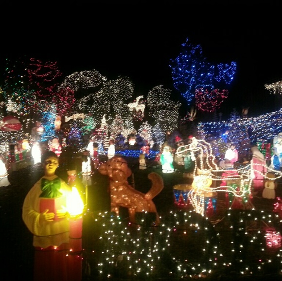 Meet your Posher, Amber - Picture 1 of 1