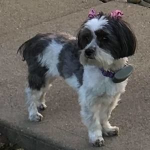 Meet your Posher, Heather