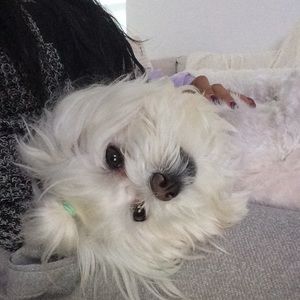 Meet your Posher, Nap