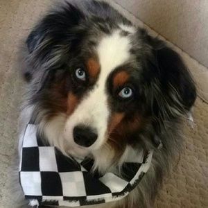 Meet your Posher, Christine