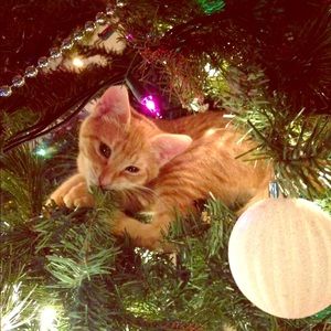 🎄CHRISTMAS SALE🎄