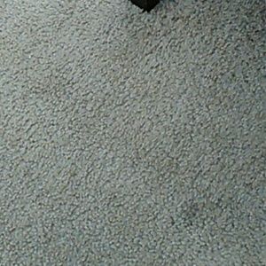 Meet your Posher, George