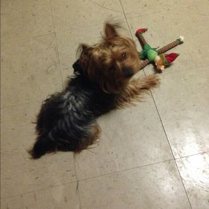 Meet your Posher, Shateva