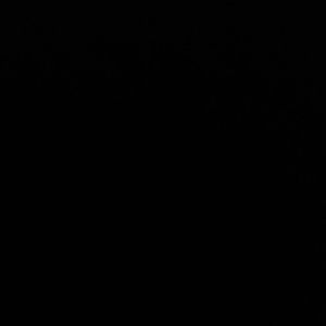 Meet your Posher, Darla