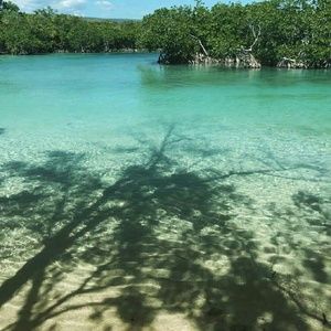 Meet your Posher, Jay