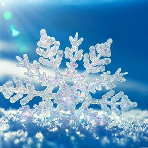 Meet your Posher, Anita