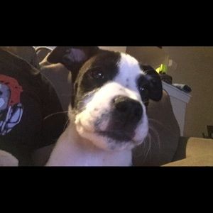 Meet your Posher, Ryann