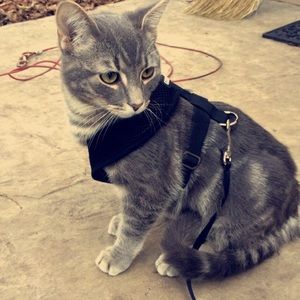 Meet your Posher, Emma