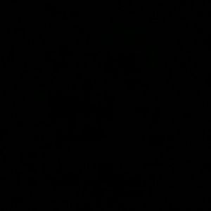 Meet your Posher, Kiandra