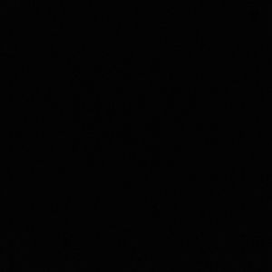 Meet your Posher, Bo