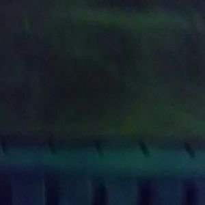 Meet your Posher, Sammy