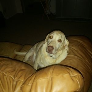 Meet your Posher, Nicholas