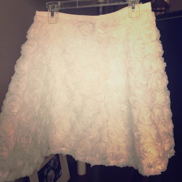 Club Monaco rose skirt