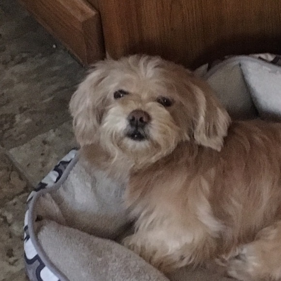 Meet your Posher, Danielle - Picture 1 of 1