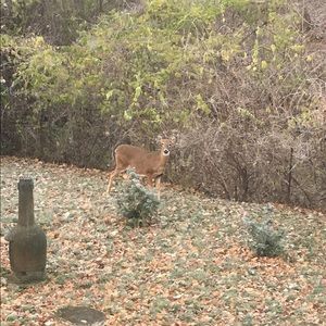 Meet your Posher, Lydia