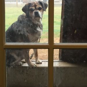 Meet your Posher, Kelsey