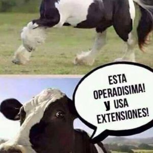 Meet your Posher, Juan