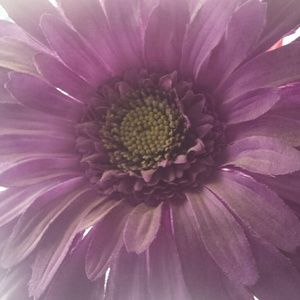 Meet your Posher, Whitney