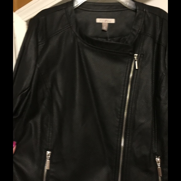 Jacket - Picture 2 of 4