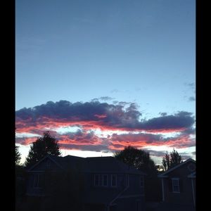 Meet your Posher, Janae