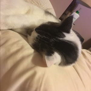 Meet your Posher, Rachael