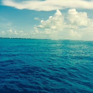 Meet your Posher, Susie