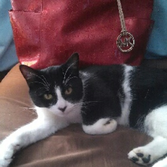 Wilbur welcomes you to our closet