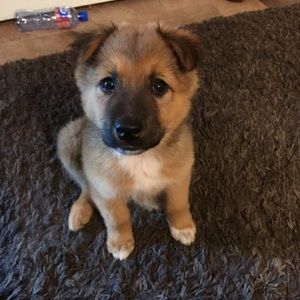 Meet your Posher, Peggy