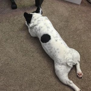 Meet your Posher, Jordan