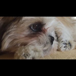 Meet your Posher, Julia