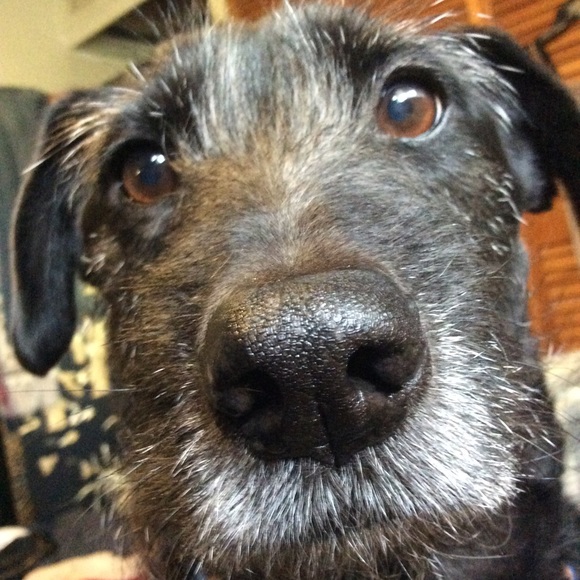 Meet your Posher, Kia - Picture 2 of 4