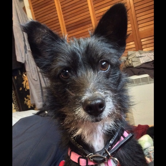 Meet your Posher, Kia - Picture 4 of 4