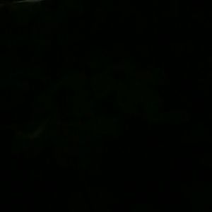 Meet your Posher, Kira