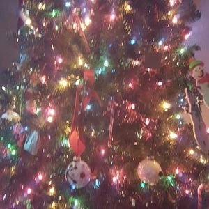 Meet your Posher, Shelly