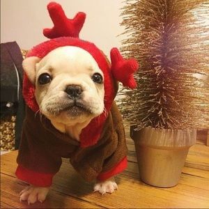 Meet your Posher, Elisha