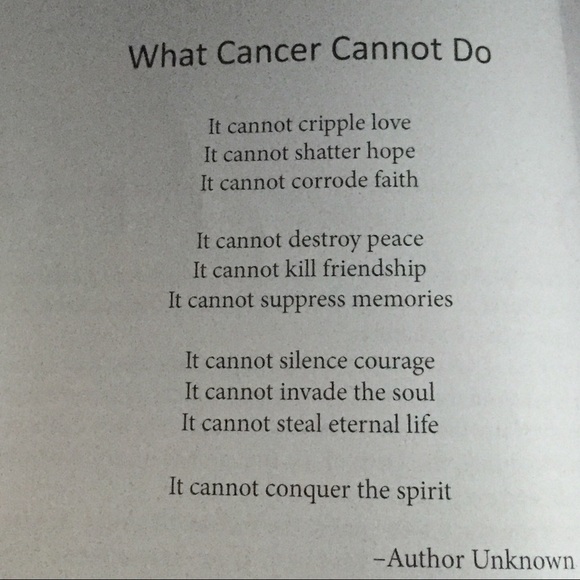 Meet your Posher, Gina - Picture 3 of 3