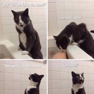 Meet your Posher, Mariah