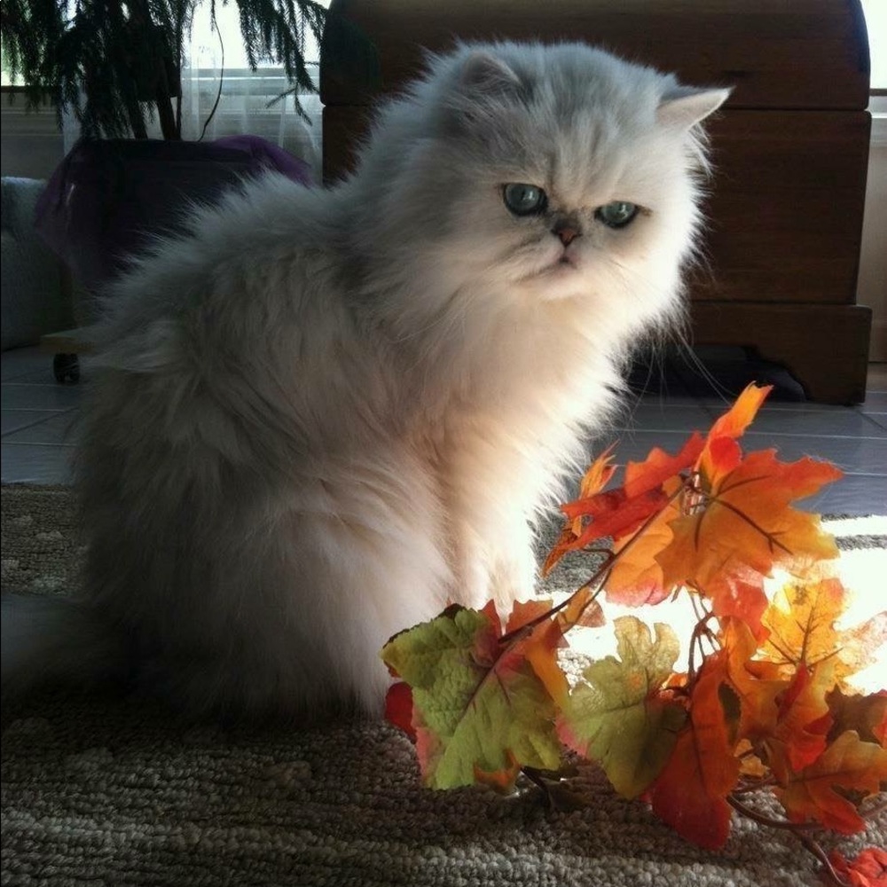 JEWELRY SALE, ACCESSORIES WATCHES ⌚️ SCROLL DOWN💗