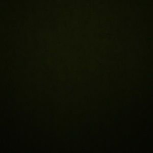 Meet your Posher, Hana