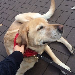 Meet your Posher, Yuhui