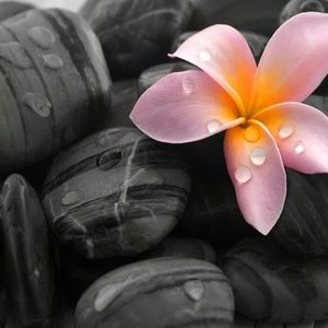 Meet your Posher, Rosetta