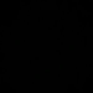 Meet your Posher, Pedro