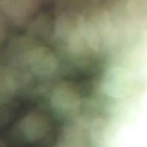 Meet your Posher, Teddi